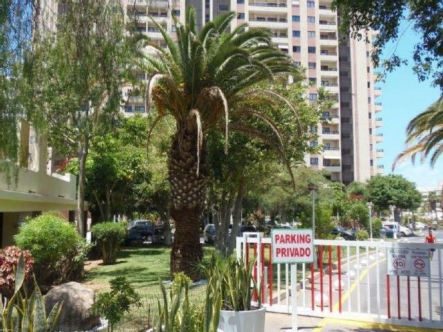 Golden Dreams & Perfect For You ***** Costa Adeje  Esterno foto